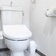 Toilet seat bidet